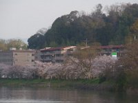 RIMG3461
