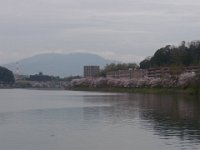 RIMG3521