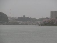 RIMG0008