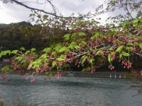 RIMG0056