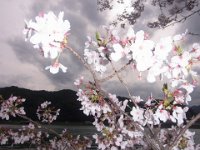 RIMG0062