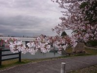 RIMG0079
