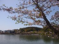 RIMG0011