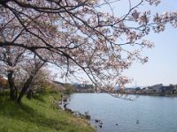 RIMG0016