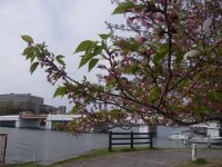 RIMG0072