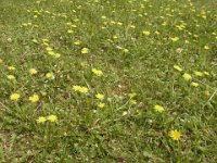 RIMG0179