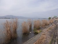 RIMG0182