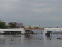 RIMG0229