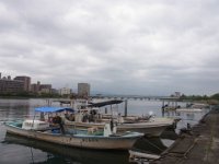 RIMG0233