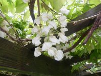 RIMG0293