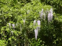 RIMG0314