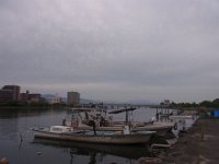 RIMG0343