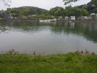 RIMG0361
