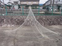 RIMG0376