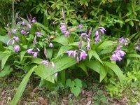 RIMG0383