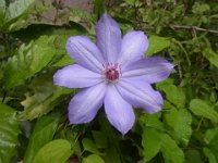 RIMG0388