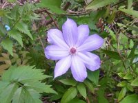 RIMG0389