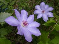 RIMG0391