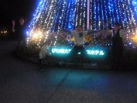 RIMG0508