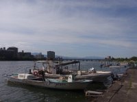 RIMG0587