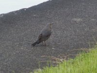 RIMG0598