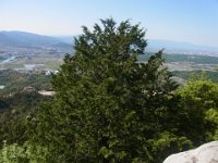 RIMG0622