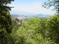 RIMG0697