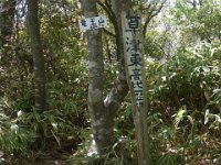 RIMG0699