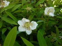 RIMG0725