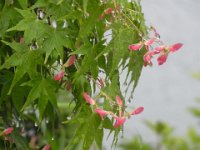 RIMG0774