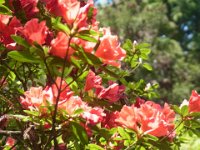 RIMG0848