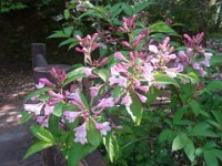 RIMG0938