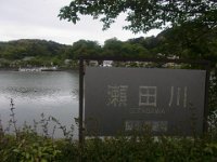 RIMG0991