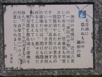 RIMG1238