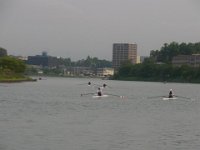 RIMG1313