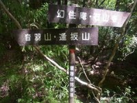 RIMG1339