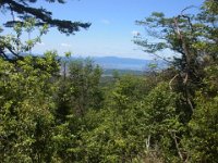 RIMG1777