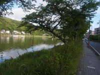 RIMG2011