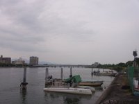 RIMG2446