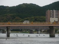 RIMG2516