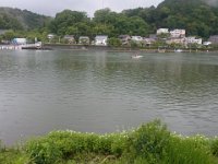 RIMG2532