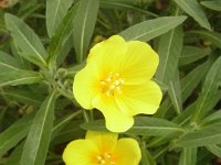 RIMG0069