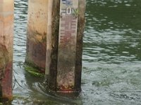 RIMG0126