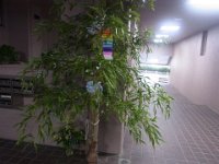 RIMG0251