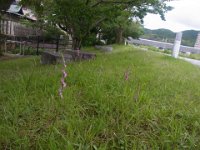 RIMG0269