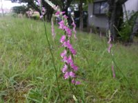 RIMG0272