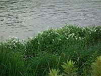 DSC09439