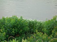 DSC09440