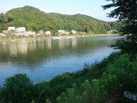 DSC09464