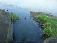 DSC09478
